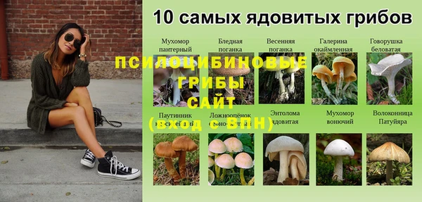 apvp Михайловск